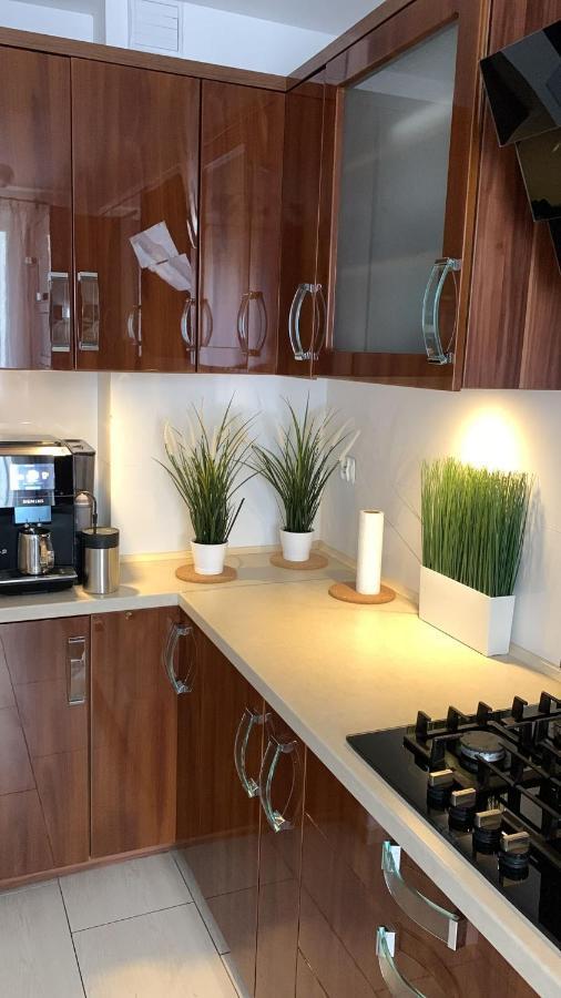 Golden Apartament Legionow Stary Toruń Екстериор снимка